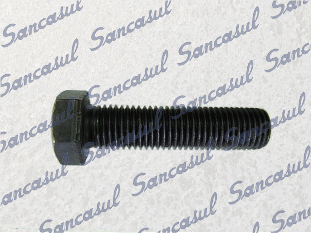 HEX HEAD BOLT M16X55 8.8 -SMC100